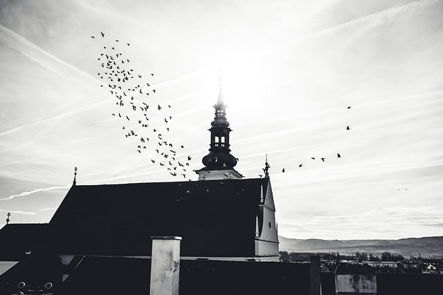 Santa Patricia, santoral, onomástica, día de celebración